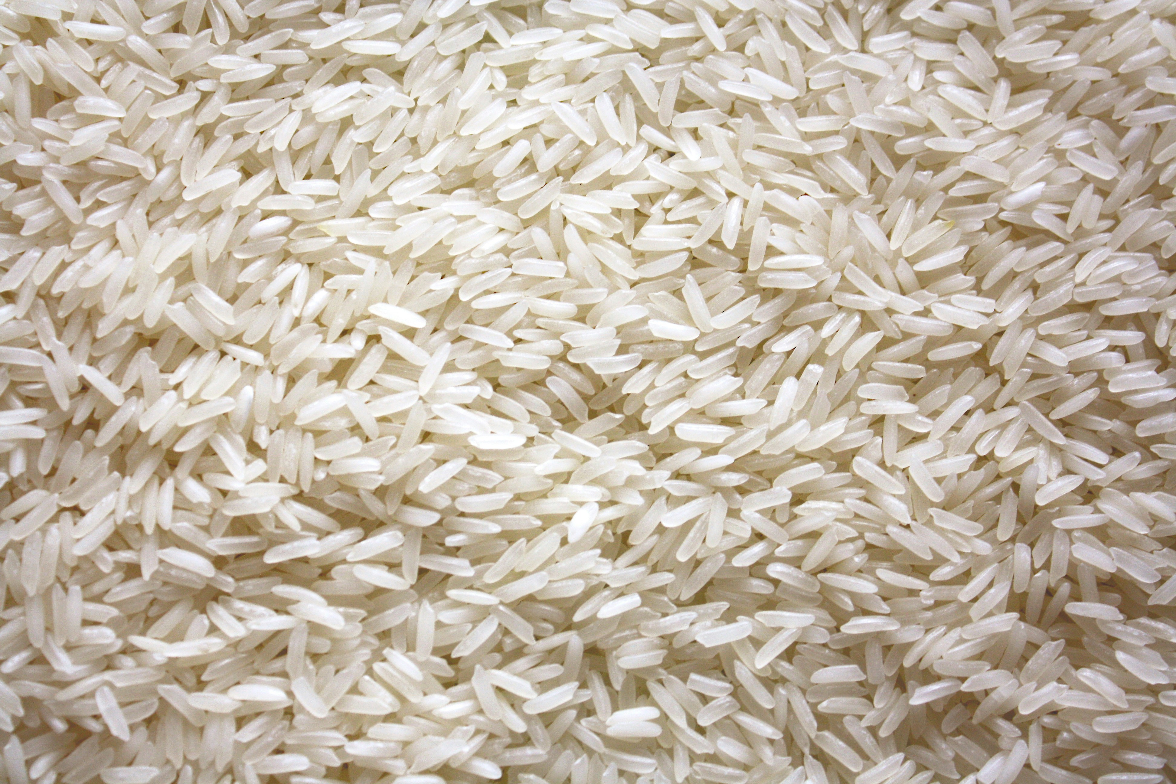 Best Quality Rice